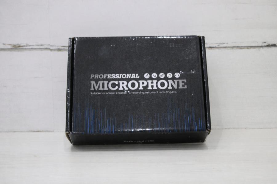 MICROFONO PROFESSIONAL INALAMBRICO